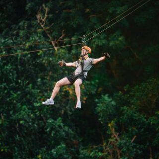 Tree Bridge Zipline